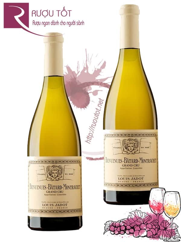 Vang Pháp Bienvenues Batard Montrachet Louis Jadot Thượng hạng