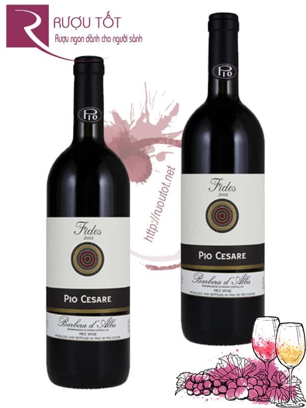 Vang Ý Pio Cesare Fides Barbera D'alba