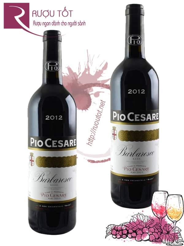 Vang Ý Pio Cesare Barbaresco cao cấp