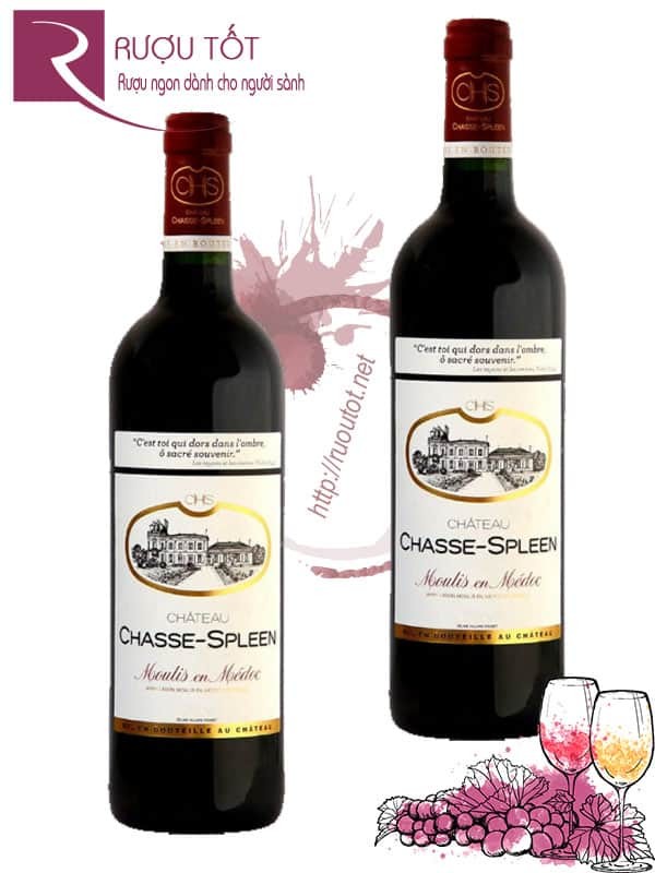 Vang Pháp Chateau Chasse Spleen Moulis En Medoc Thượng hạng