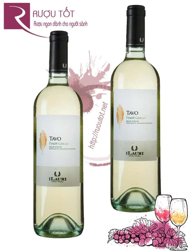 Vang Ý ILauri Tavo Pinot Grigio Thượng hạng