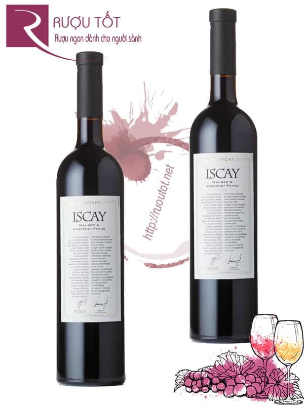 Rượu vang Trapiche Iscay Malbec Cabernet Franc Thượng hạng