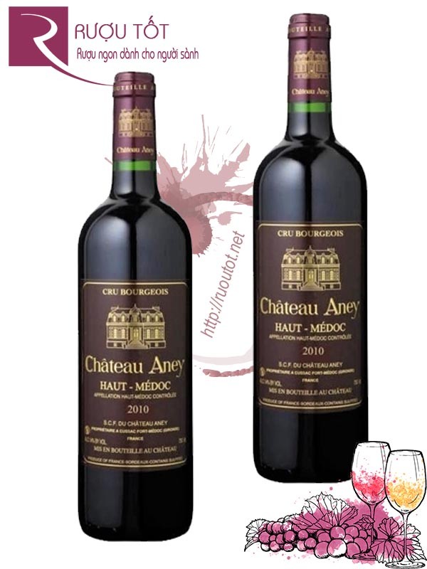 Vang Pháp Chateau Aney Haut Medoc Thượng hạng