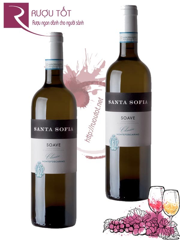 Vang Ý Santa Sofia Soave Classico Montafoscarino Thượng hạng