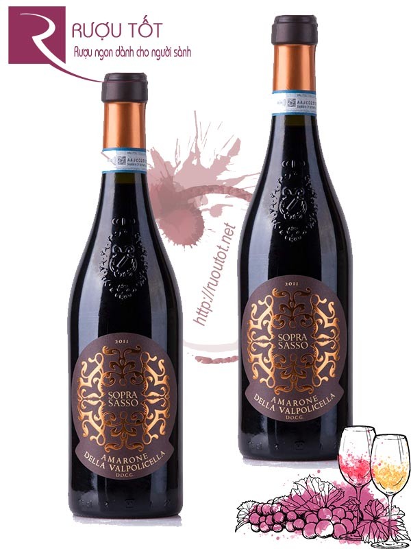 Rượu vang Soprasasso Amarone della Valpolicella