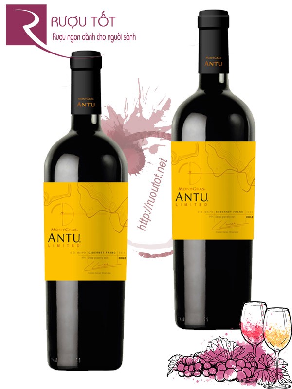 Vang Chile Antu Limited Cabernet Franc Thượng hạng