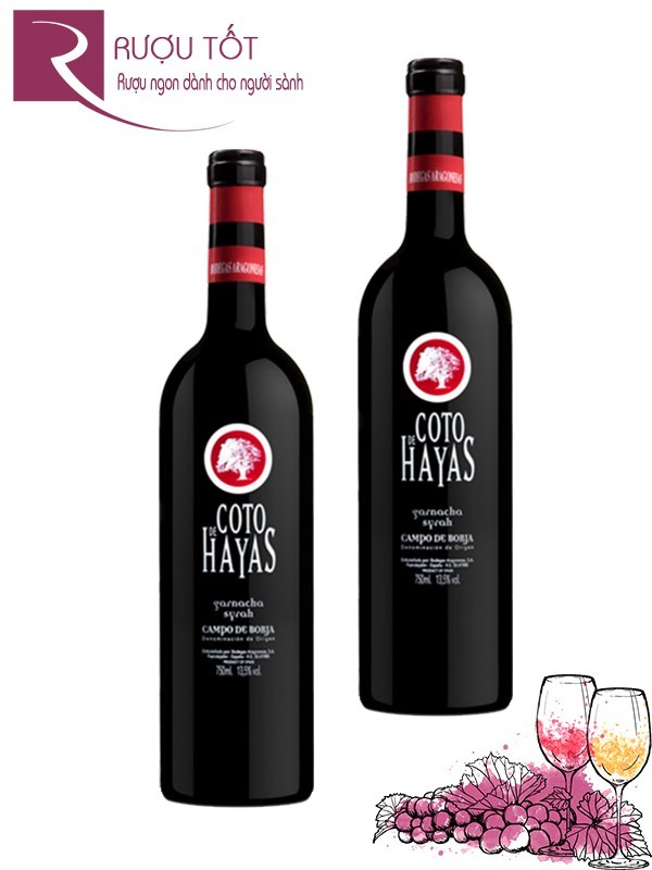 Rượu vang Coto de Hayas Tinto Garnacha Thượng hạng