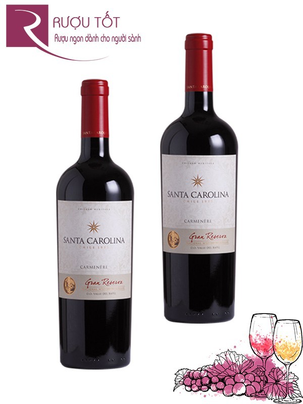 Vang Chile Santa Carolina Gran Reserva Carmenere Thượng hạng