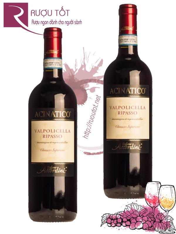 Vang Ý Acinatico Valpolicella Ripasso Superiore Cao cấp