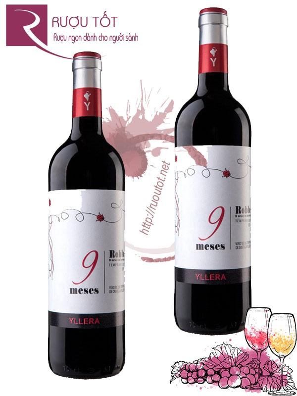 Rượu vang 9 Meses Yllera Tempranillo Thượng hạng