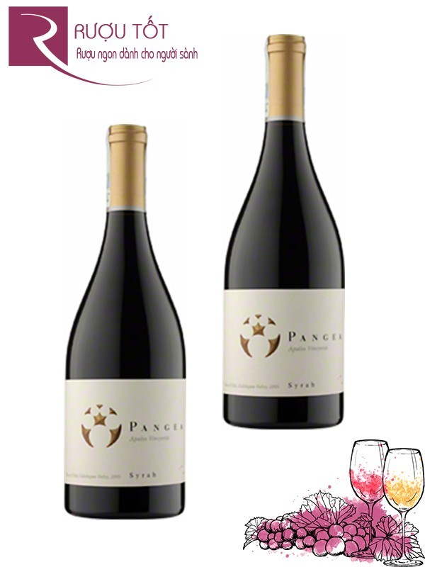 Vang Chile Pangea Syrah (Hộp gỗ) 750ml 1,5L 3L