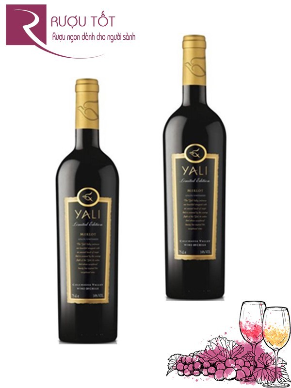 Vang Chile Yali Limited Edition Syrah Thượng hạng