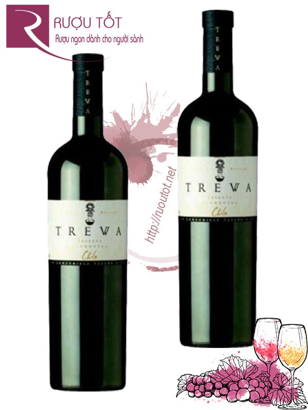 Vang Chile Trewa Reserva Carmenere Thượng hạng