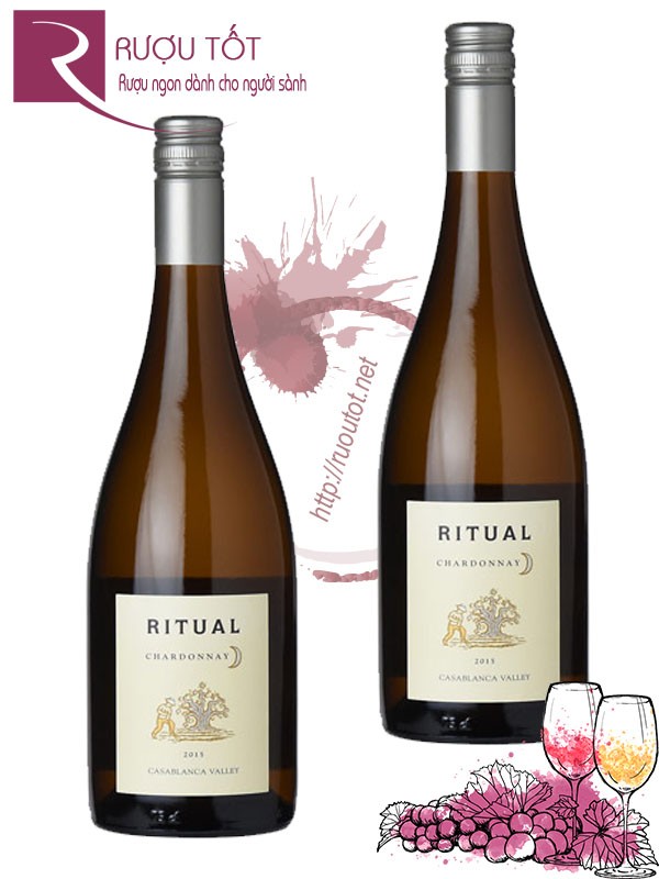 Vang Chile Ritual Chardonnay Casablanca Valley Chiết khấu cao