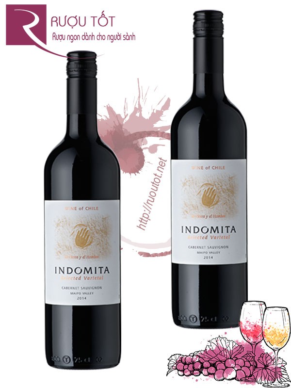 Vang Chile Indomita Selected Varietal Cabernet Sauvignon