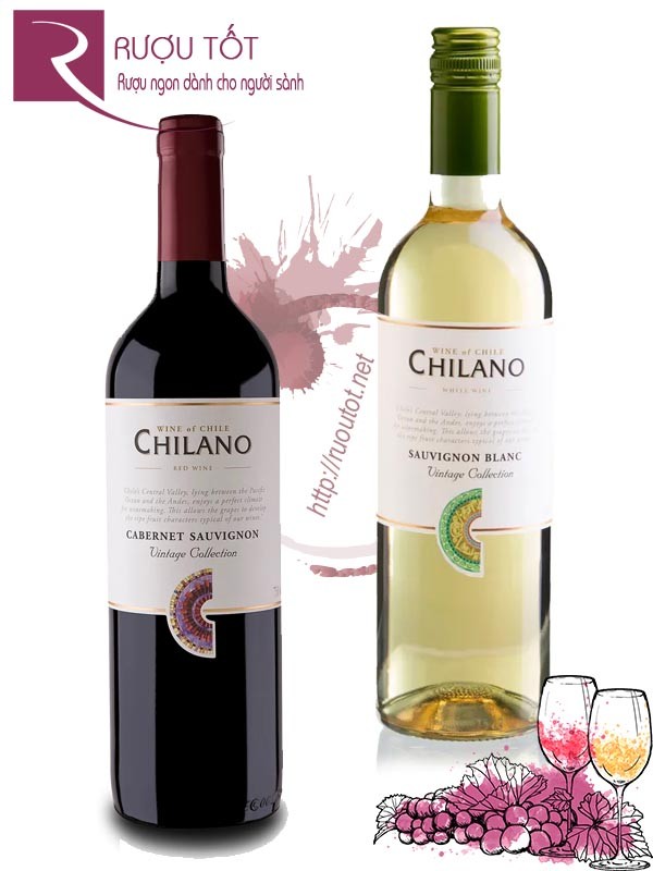 Vang ChiLe ChiLano (Red – White)