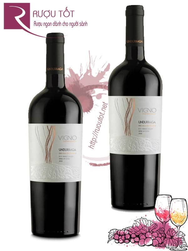 Vang Chile Undurraga Vigno Old vines Dry farmed Carignan