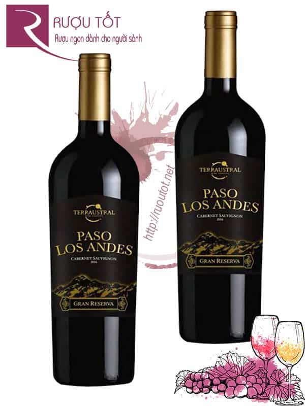 Vang Chile Paso Los Andes Gran Reserva 14,5 độ Red