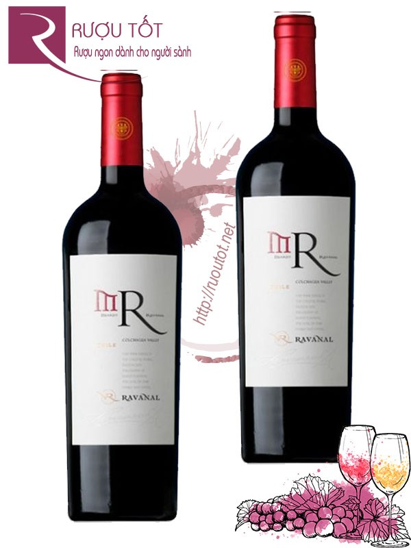 Vang Chile Mario Ravanal MR Premium Carmenere Syrah Cao Cấp