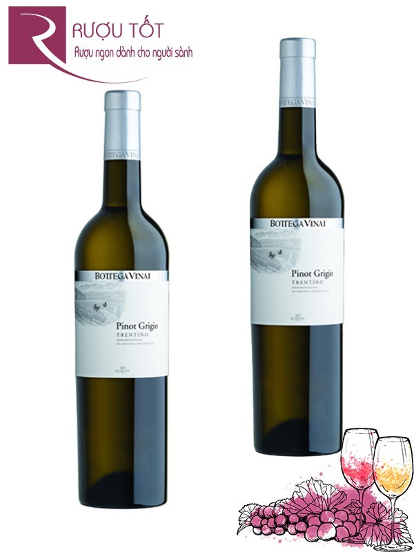 Vang Ý Bottega Vinai Pinot Grigio Thượng hạng