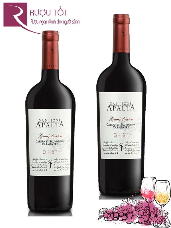 Vang Chile Apalta Gran Reserva Cabernet Sauvignon Cao cấp