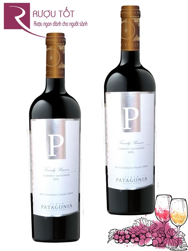 Vang Chile Patagonia Family Reseva Cabernet Sauvignon