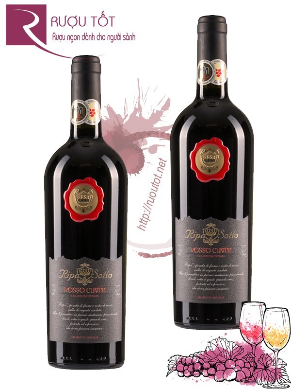 Vang Ý Ripa Di Sotto Rosso Cuvee Collezione Privata Cao cấp