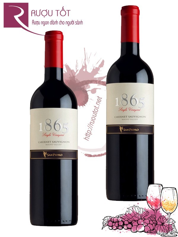 Vang Chile 1865 Single Vineyard Cabernet Sauvignon Cao cấp