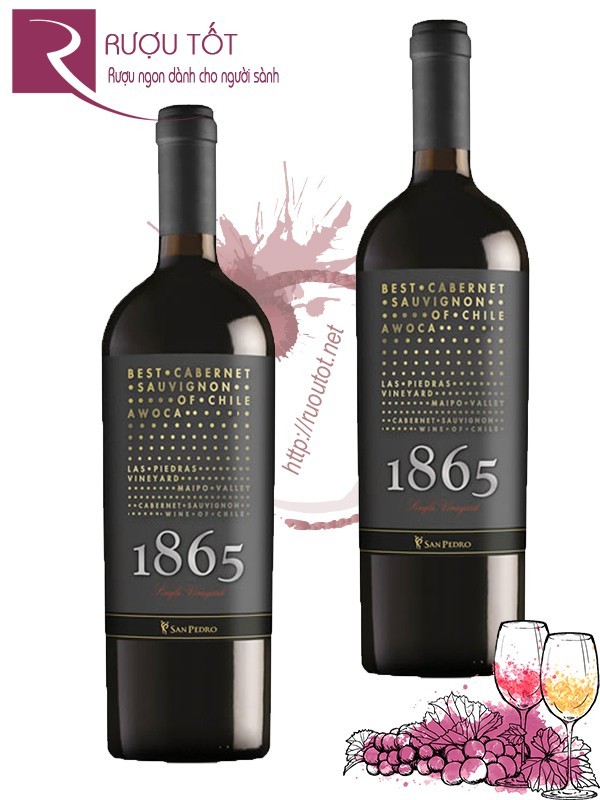 Vang Chile 1865 Awoca Cabernet Sauvignon