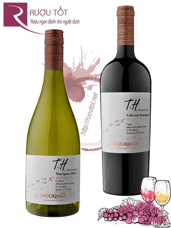 Vang Chile TH Alto Maipo Undurraga Red - White