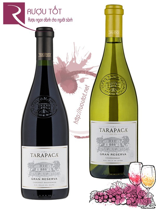 Vang Chile Tarapaca Gran Reserva (red – white) Thượng hạng