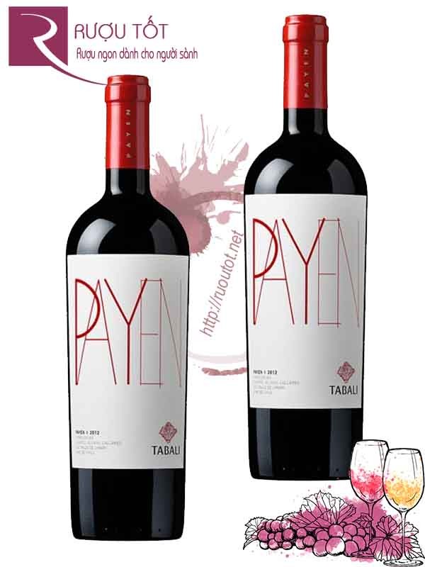 Vang Chile Payen Tabali Syrah Cabernet Sauvignon