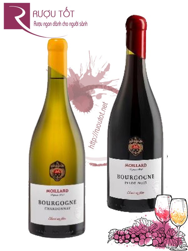 Rượu vang Moillard Bourgogne Red - White Đầu si